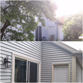Replace Exterior Insulated Vinyl Siding Architectural Shakes Windows Soffit Trim in Lisle
